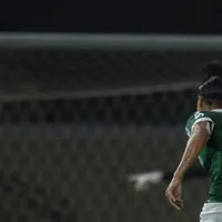 Palmeiras planeja CT exclusivo para o futebol feminino em Vinhedo