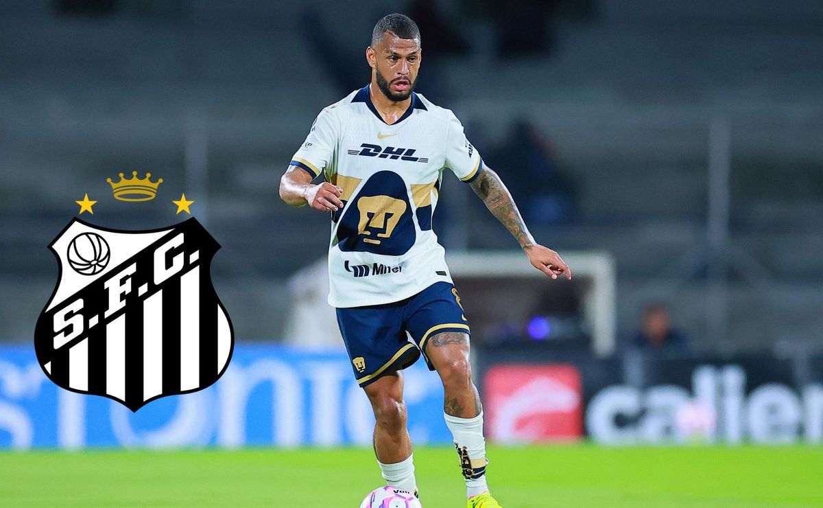 image para ilustrar o artigo