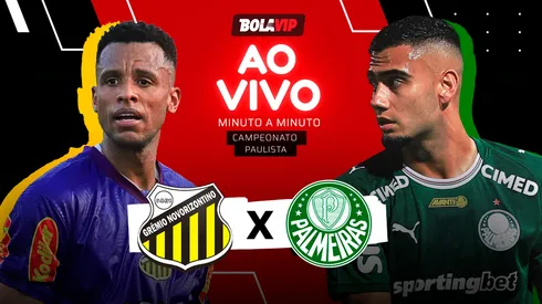 Acompanhe Novorizontino x Palmeiras. FotoxFoto Jota Erre/AGIF e Ettore Chiereguini/AGIF
