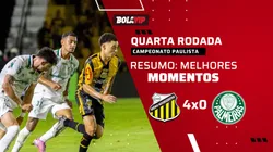 Palmeiras é goleado pelo Novorizontino. Foto: Juan Rodrigues/Novorizontino