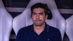 Abel Ferreira segue no Palmeiras.