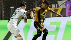 Palmeiras foi atropelado pelo Novorizontino pelo Campeonato Paulista Foto: Juan Rodrigues / Novorizontino