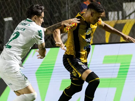 Palmeiras goleado vale 15 vezes mais que Novorizontino-SP