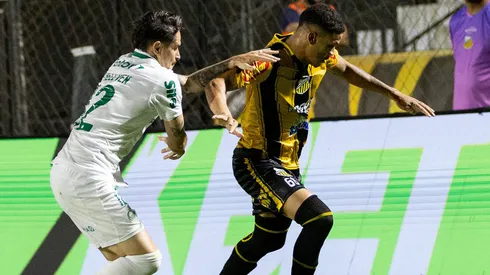 Palmeiras foi atropelado pelo Novorizontino pelo Campeonato Paulista Foto: Juan Rodrigues / Novorizontino