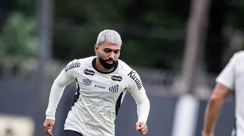 Foto: Raul Baretta/Santos FC