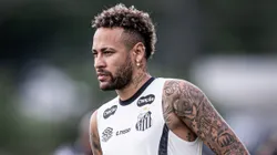 Foto: Raul Baretta/ Santos FC