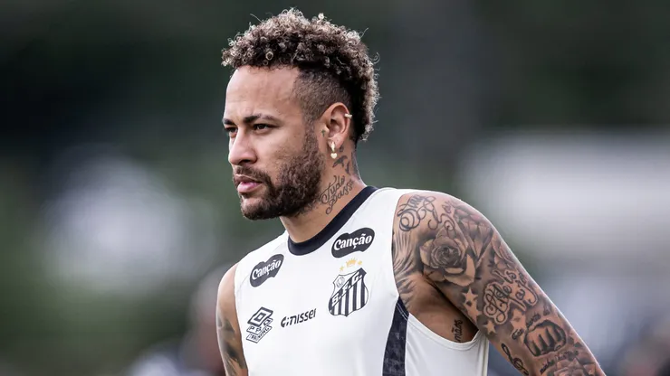 Foto: Raul Baretta/ Santos FC
