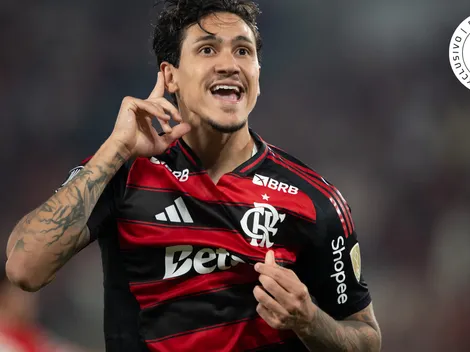 Flamengo planeja renovar com Pedro