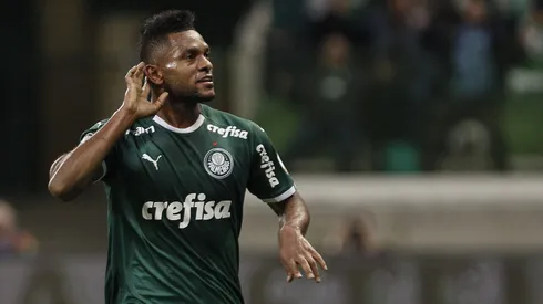 Miguel Borja em campo pelo Palmeiras. (Photo by Miguel Schincariol/Getty Images)