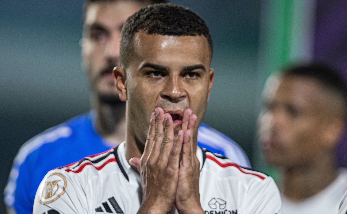 image para ilustrar o artigo