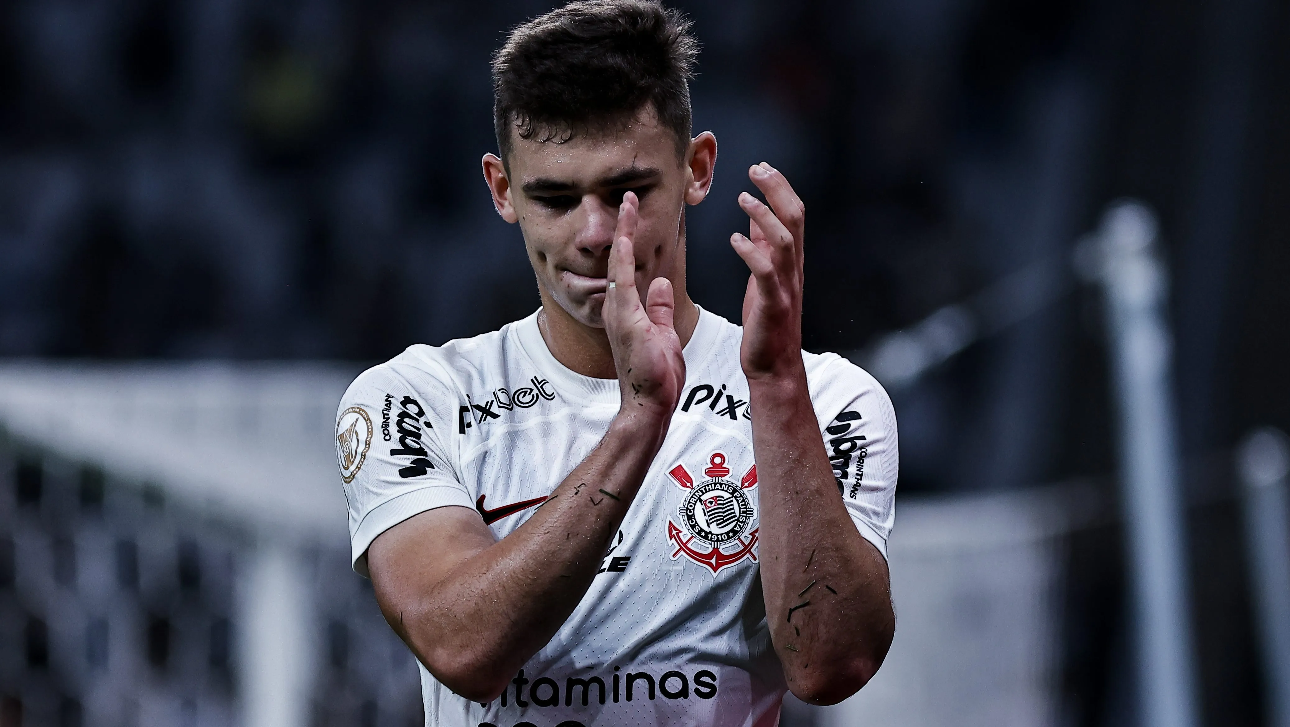 Moscardo. Foto: Fabio Giannelli/AGIF