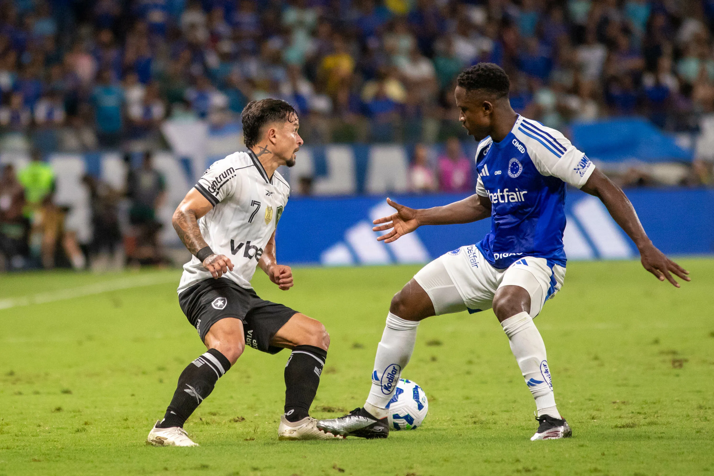 Sinesterra jogador do Cruzeiro durante partida contra o Botafogo no estadio Mineirao pelo campeonato Brasileiro A 2025. Foto: Fernando Moreno/AGIF