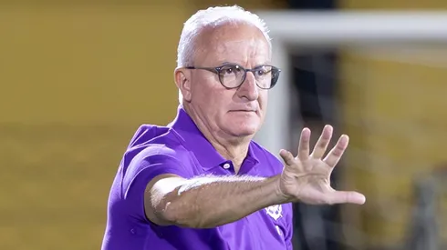 Dorival Júnior admitiu a necessidade por reforços.