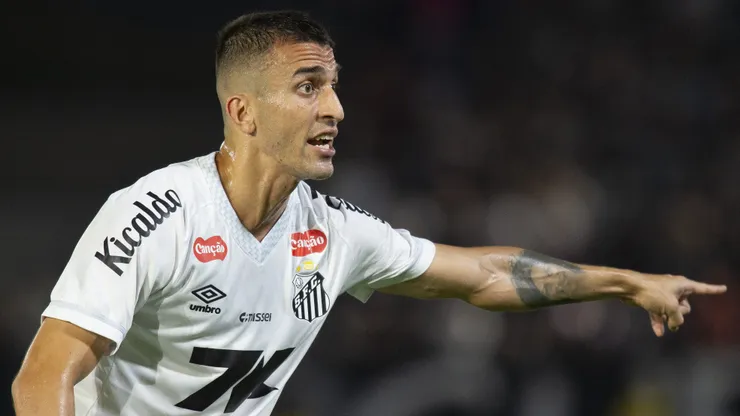 Antes de encarar o São Paulo, João Schmidt desabafa sobre momento do Santos. Foto: Anderson Romao/AGIF