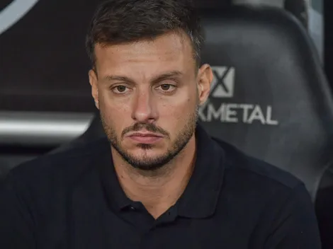 Anselmi elogia jogadores do Botafogo após goleada