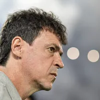 Diniz é processado por sócia do Vasco após bronca