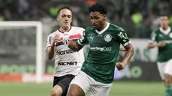Botafogo-SP x Palmeiras. Foto: Marcello Zambrana/AGIF
