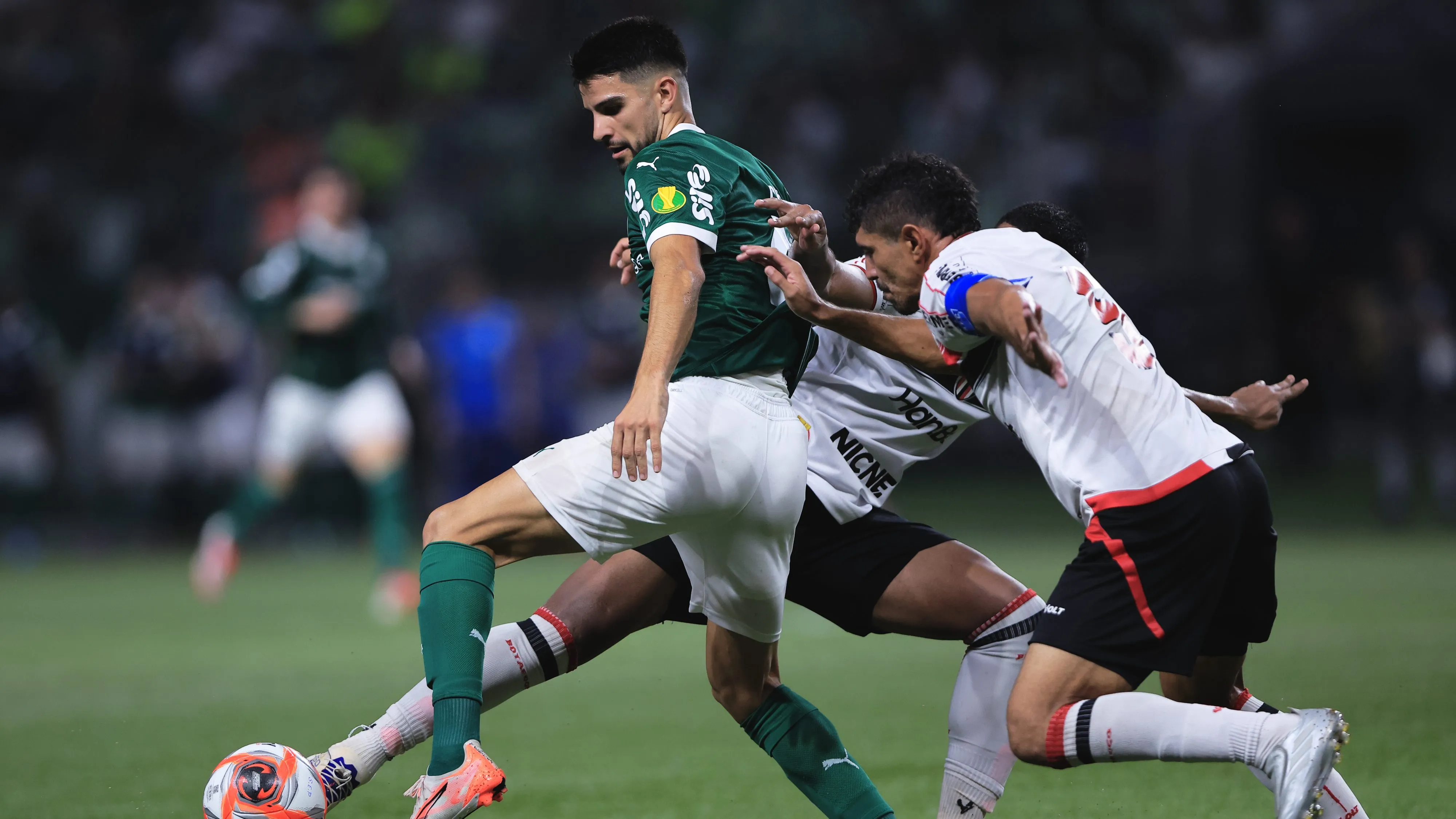 Botafogo-SP x Palmeiras. Foto: Ettore Chiereguini/AGIF