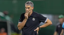 Vojvoda, treinador do Santos