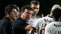 Fernando Diniz, técnico do Vasco