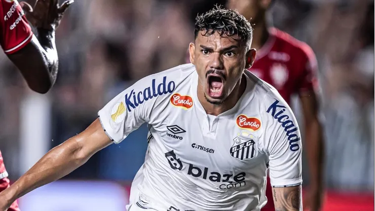 Atacante teve altos e baixos - Foto: Raul Baretta/Santos FC.