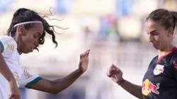Palmeiras x RB Bragantino. Foto: Anderson Romão/AGIF