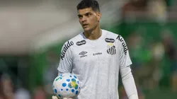 Gabriel Brazão se destacou em Noroeste x Santos - Foto: Liamara Polli/AGIF
