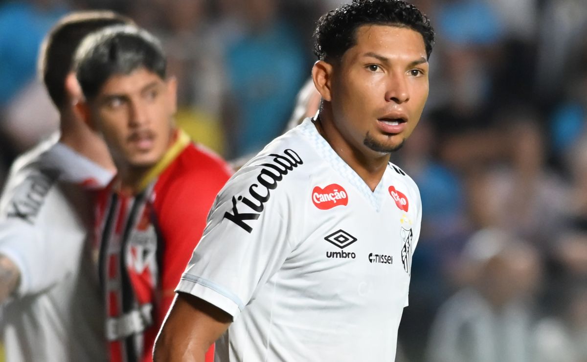 image para ilustrar o artigo