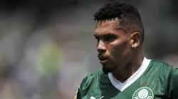 Paulinho não joga pelo Palmeiras desde julho do ano passado