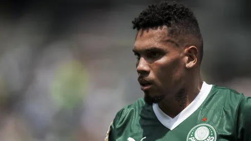 Paulinho não joga pelo Palmeiras desde julho do ano passado
