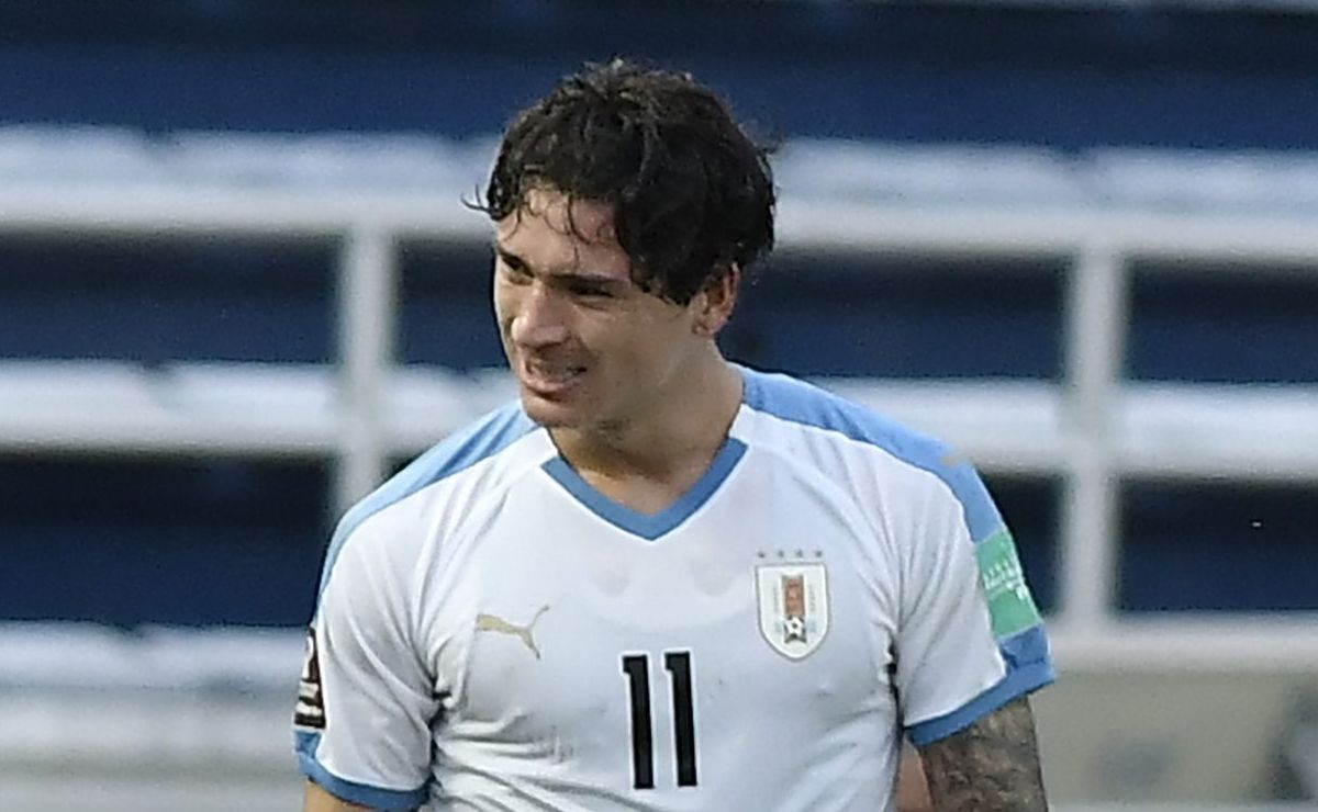 Darwin Nuñez exige única condição para fechar com Flamengo e pede salário de R$ 8,2 milhões por mês