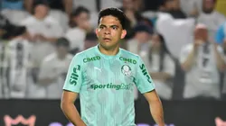 Bruno Rodrigues chegou em 2024 no Palmeiras