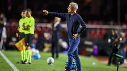 Luís Castro, técnico do Grêmio em partida pelo campeonato brasileiro (Foto: Lucas Uebel / Grêmio)