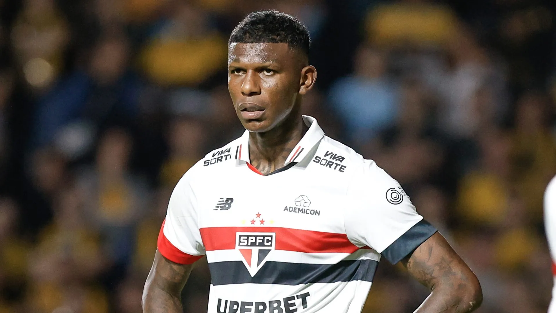 Arboleda do São Paulo