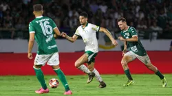 Palmeiras x Guarani. (Foto: Fabio Menotti/Palmeiras/by Canon)