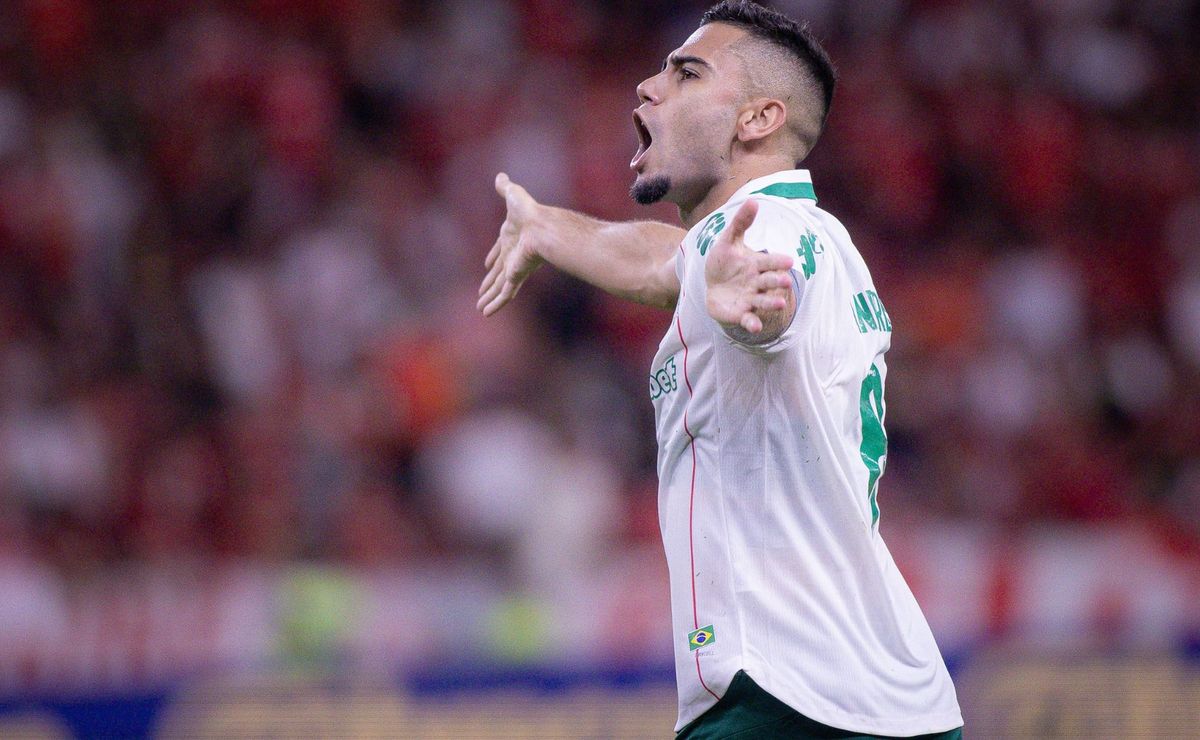 image para ilustrar o artigo