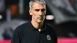 Vojvoda, técnico do Santos