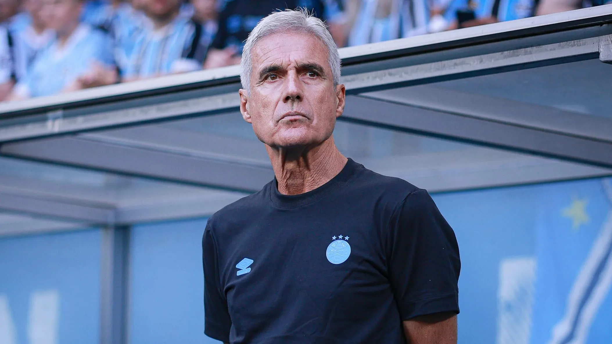 Luís Castro. Foto: Maxi Franzoi/AGIF