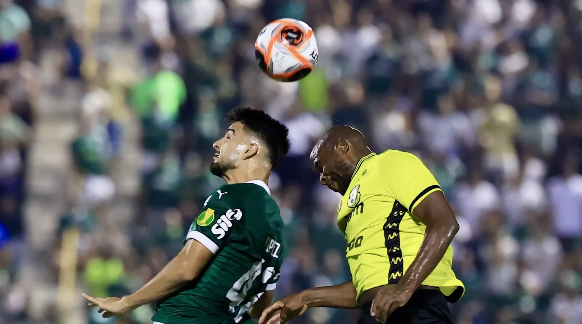 São Bernardo x Palmeiras