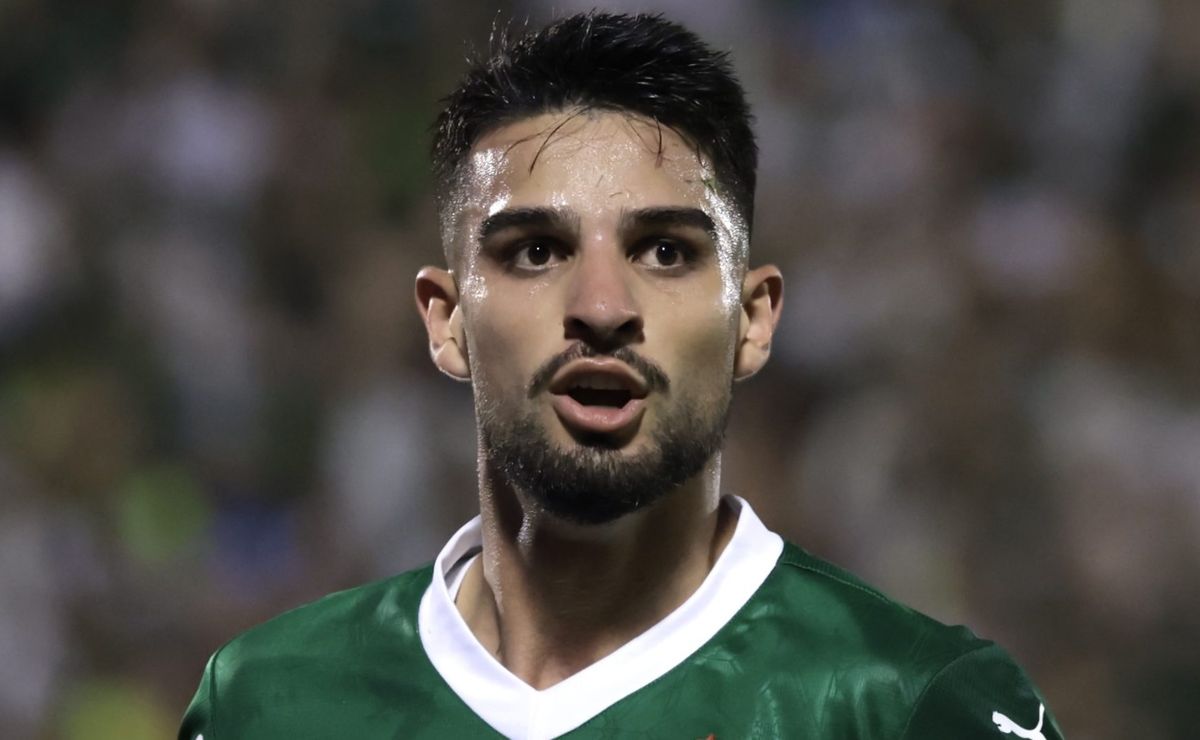 Palmeiras tem 86,67% de aproveitamento nas quartas de final do Campeonato Paulista desde 2011