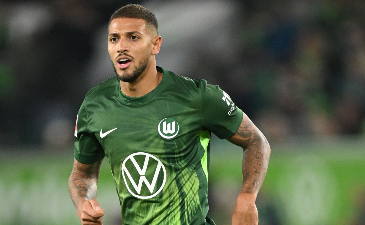 image para ilustrar o artigo