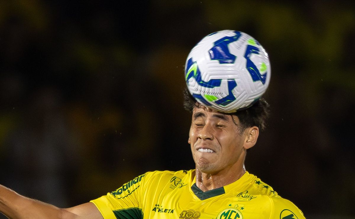 image para ilustrar o artigo