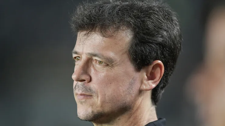 Fernando Diniz tem aproveitamento ruim em São Januário - Foto: Thiago Ribeiro/AGIF