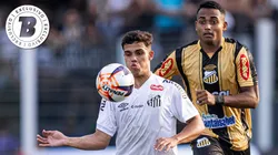 Santos x Novorizontino. Foto: Raul Baretta/ Santos FC