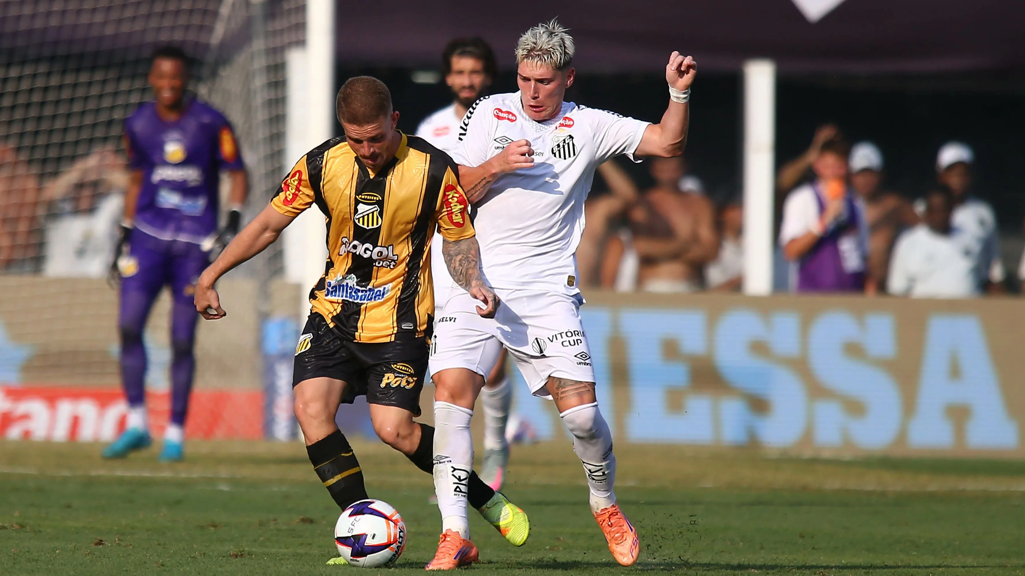 Santos x Novorizontino. Foto: Mauricio De Souza/AGIF