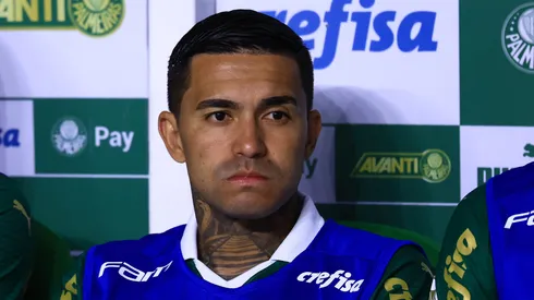 Dudu teve boas passagens pelo Palmeiras.