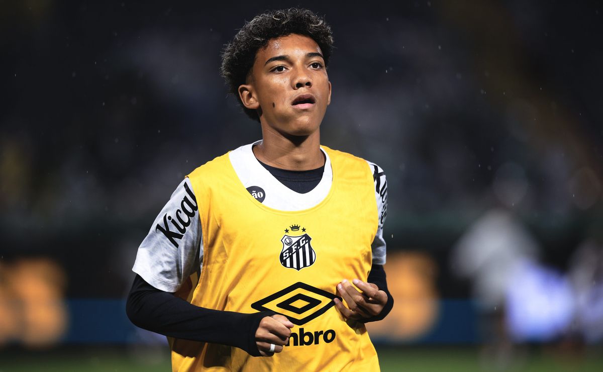 image para ilustrar o artigo