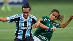 Palmeiras x Grêmio. Foto: Rebeca Reis/AGIF