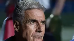 Em caso de demissão neste momento, Grêmio teria que pagar valor superior a R$ 40 milhões a Luís Castro