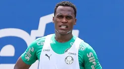 Jhon Arias já está à disposição de Abel Ferreira e começará contra o Capivariano no banco de reservas - Foto: Cesar Greco/Palmeiras/by Canon